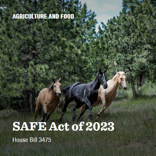 H.R.3475 118 SAFE Act of 2023 (3)